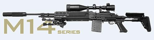 M14.jpg