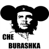 Che Burashka